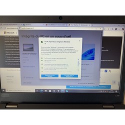 Lenovo Thinkpad L390 20NS-S4EF00