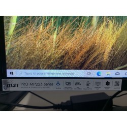 Écran MSI Pro MP223 22''